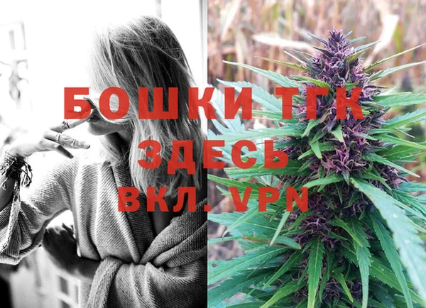 MESCALINE Аркадак