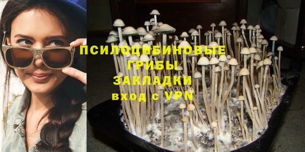 MESCALINE Аркадак