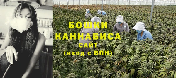 MESCALINE Аркадак