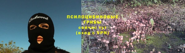 спиды Арсеньев